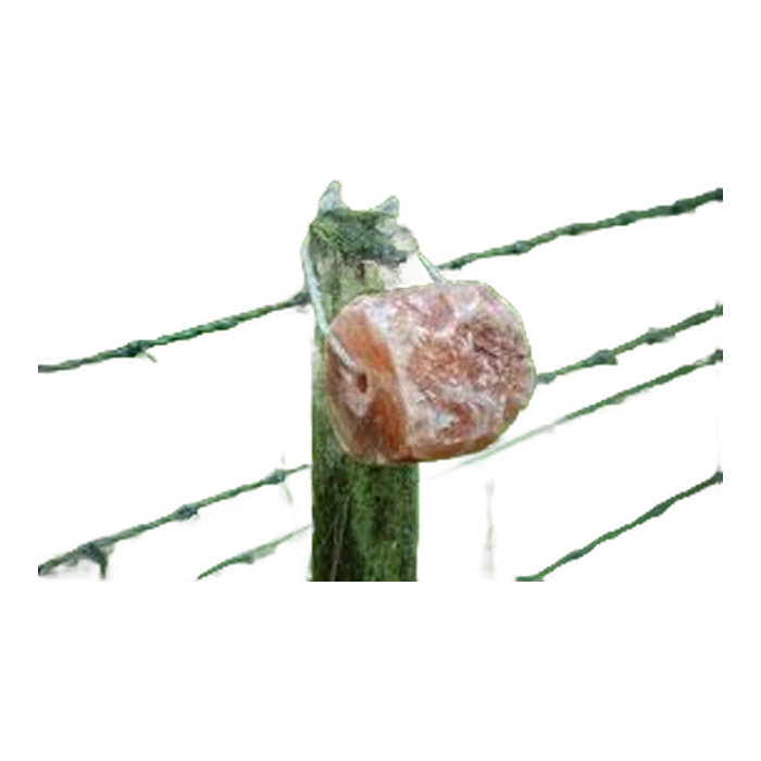 Fence-Mounted Himalayan Salt Lick