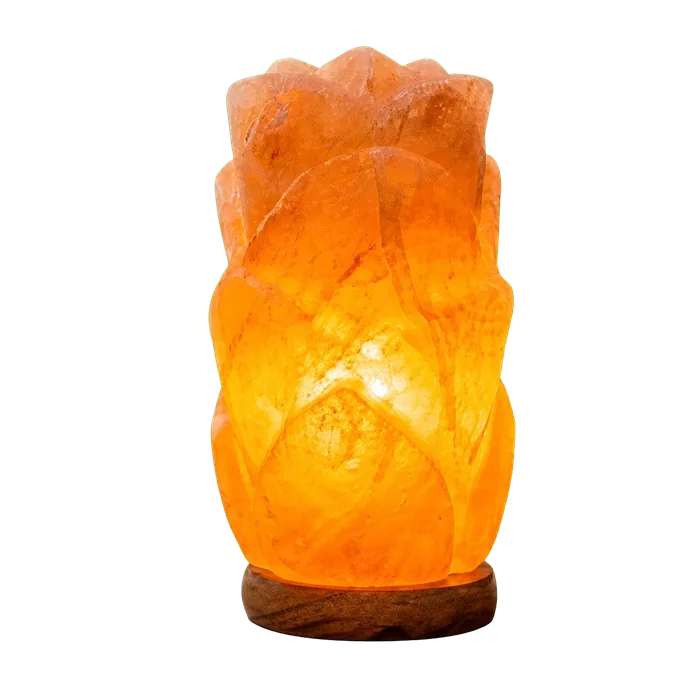 Long Flower Shaped Himalayan Pink Salt Lamp 2–3 KG