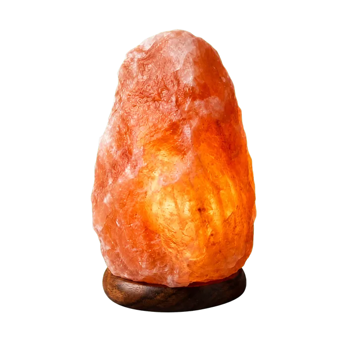 Natural Shaped Himalayan Pink Salt Lamp 2–3 KG (220V)