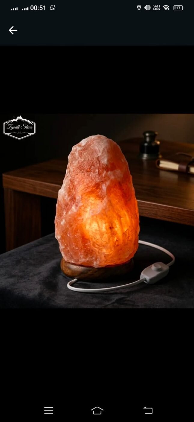 Natural Shaped Himalayan Pink Salt Lamp 2–3 KG (220V) – view 5