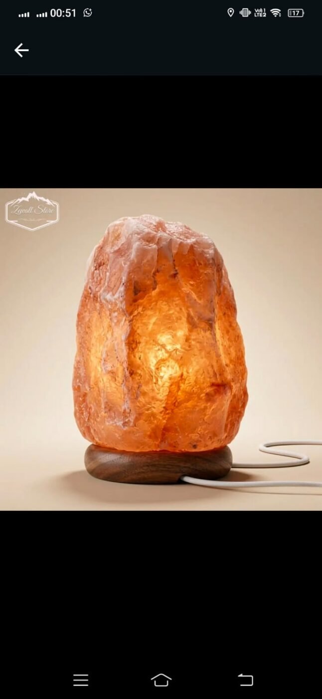 Natural Shaped Himalayan Pink Salt Lamp 2–3 KG (220V) – view 4