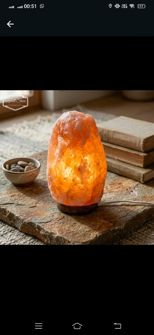 Natural Shaped Himalayan Pink Salt Lamp 2–3 KG (220V) – view 3