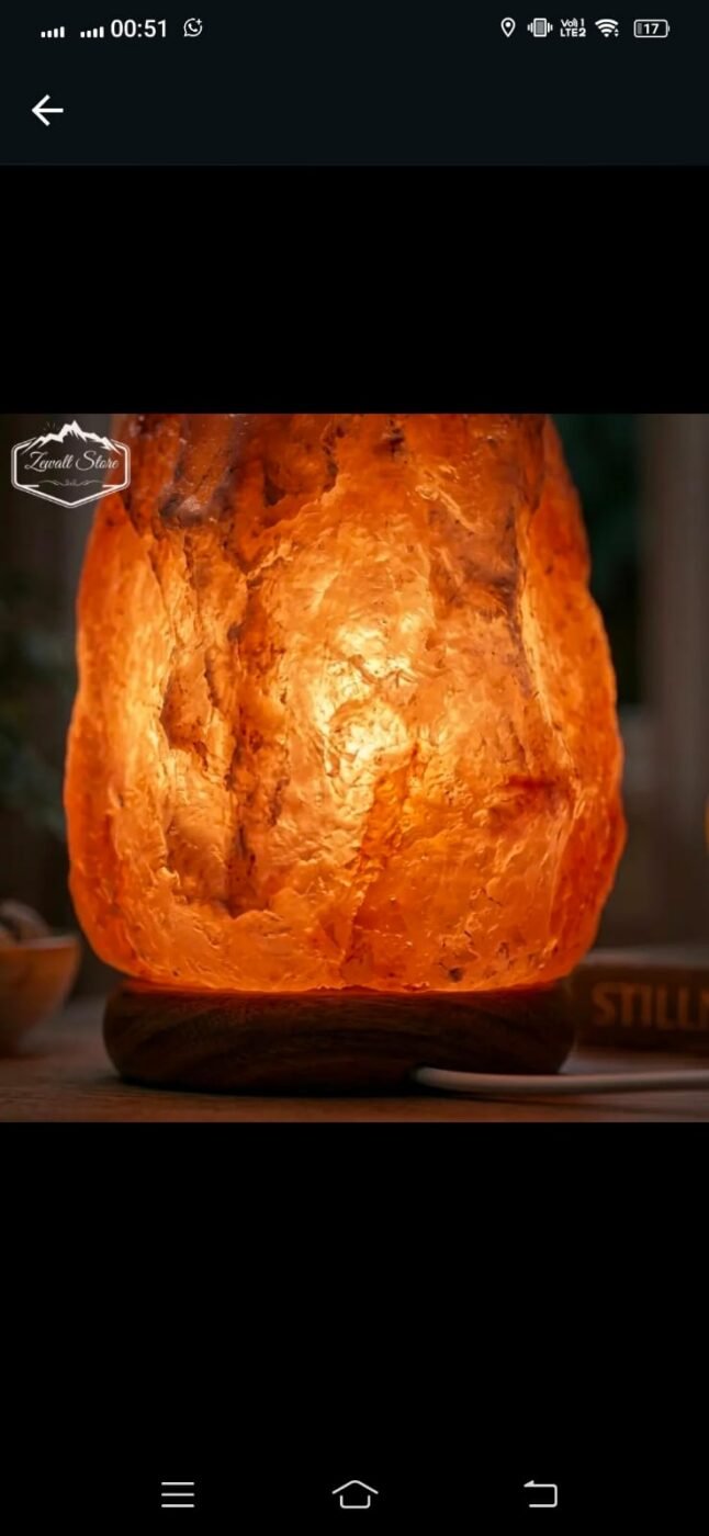 Natural Shaped Himalayan Pink Salt Lamp 2–3 KG (220V) – view 2