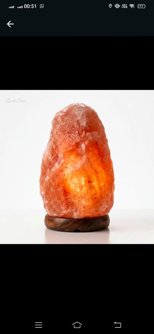 Natural Shaped Himalayan Pink Salt Lamp 2–3 KG (220V) – view 1