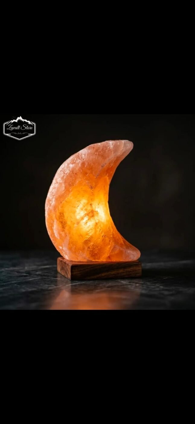 Half Moon Shaped Himalayan Pink Salt Lamp 2–3 KG – view 3