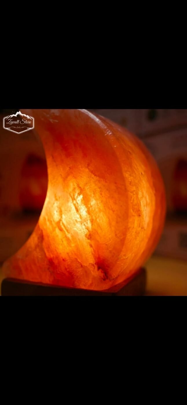 Half Moon Shaped Himalayan Pink Salt Lamp 2–3 KG – view 1