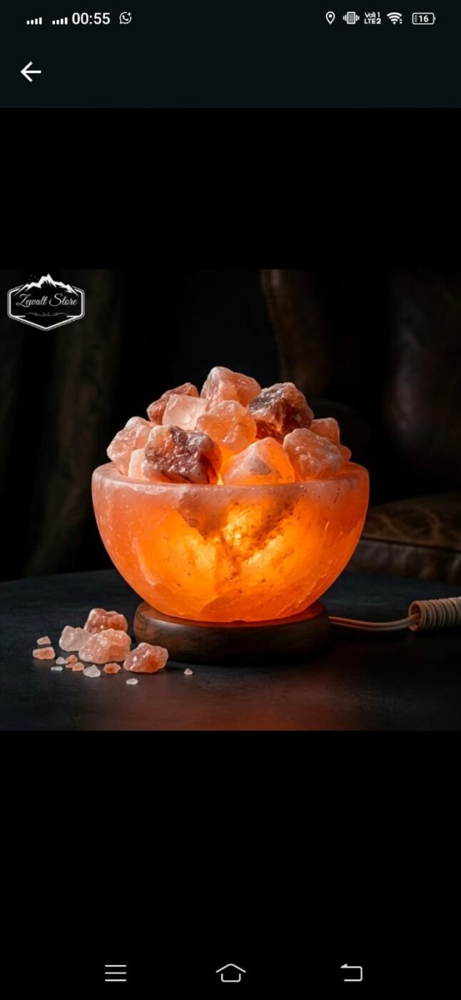 Bowl Shaped Himalayan Pink Salt Lamp with Salt Chunks – view 3