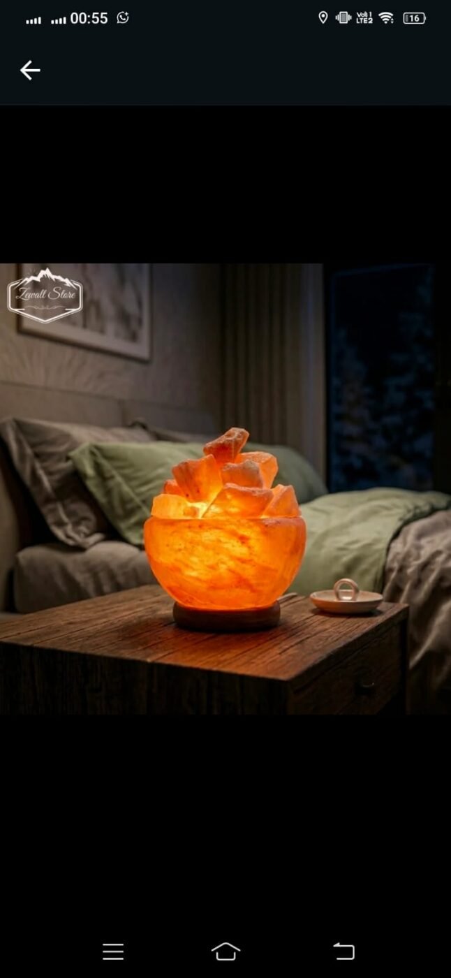 Bowl Shaped Himalayan Pink Salt Lamp with Salt Chunks – view 2