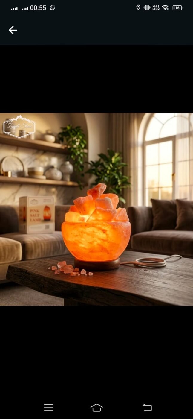 Bowl Shaped Himalayan Pink Salt Lamp with Salt Chunks