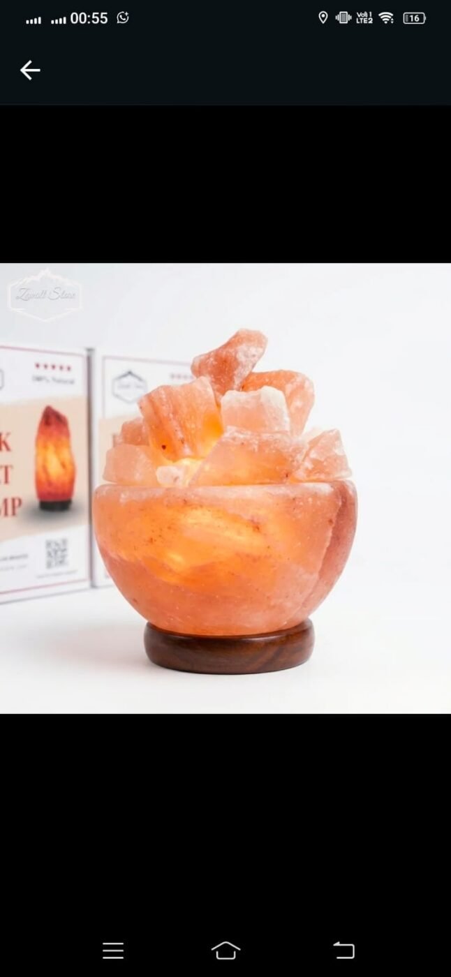 Bowl Shaped Himalayan Pink Salt Lamp with Salt Chunks – alternate view