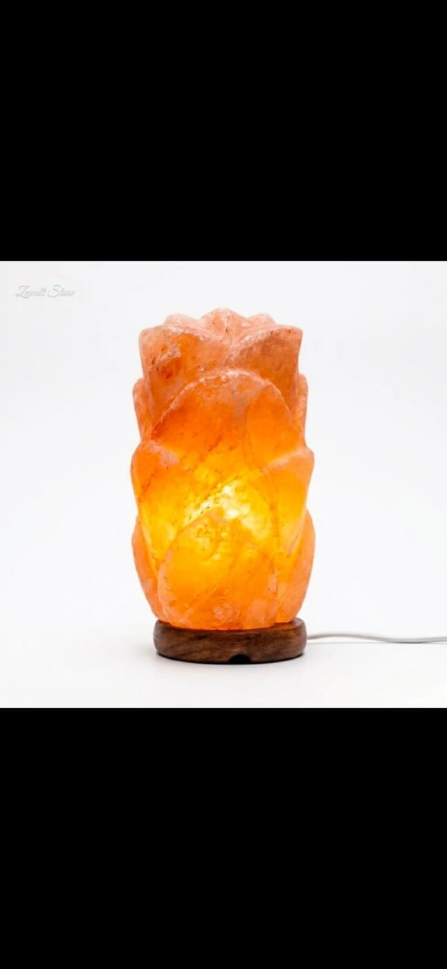 Long Flower Shaped Himalayan Pink Salt Lamp 2–3 KG – view 1